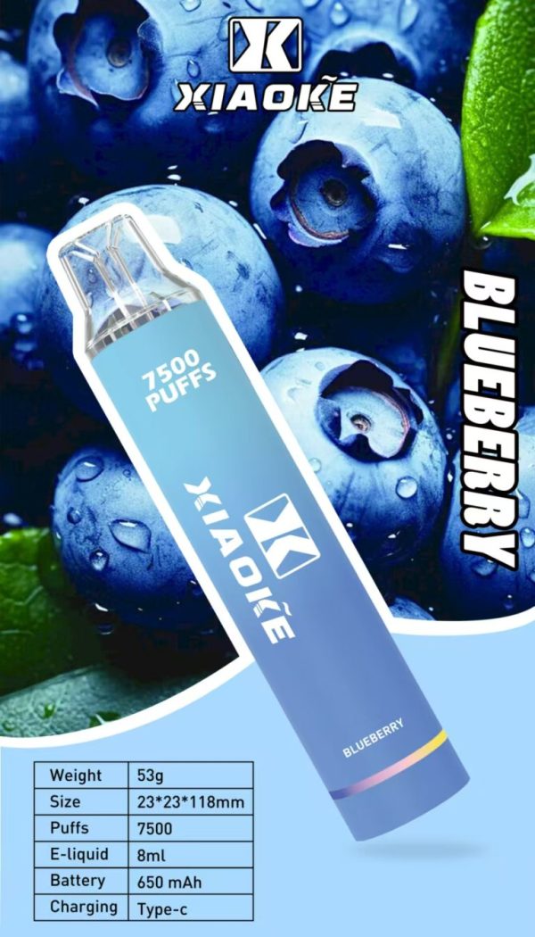 【XIAOKE 梟客】拋棄式 一次性霧化商品 7500口 (可充電)：圖片 7